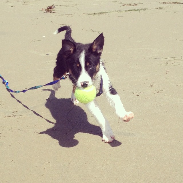 10290620_10152405532014469_224995419163884214_n