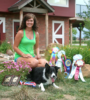 All-Awards-Gadget-Web