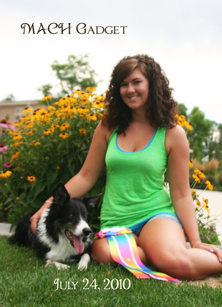 MACH Gadget w type copy