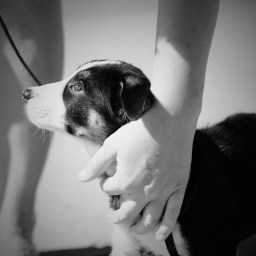 Keebler’s Elfin Magic